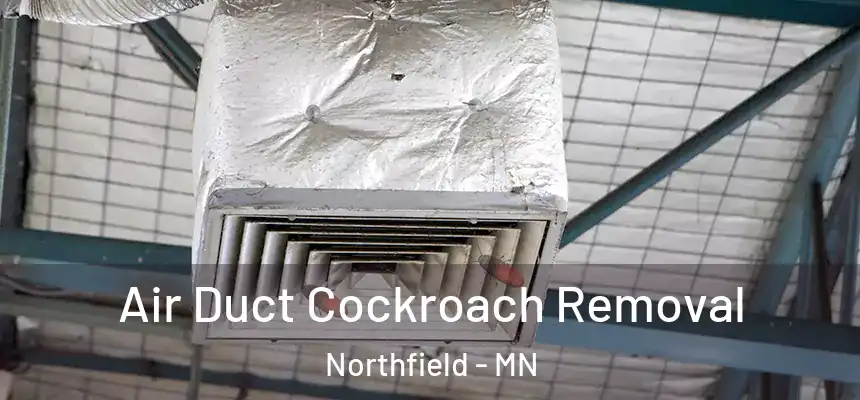  Air Duct Cockroach Removal Northfield - MN