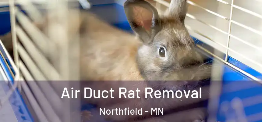  Air Duct Rat Removal Northfield - MN