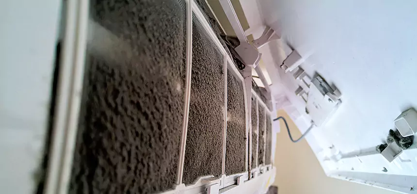 Preventive Air Duct Bacteria Removal in Northfield