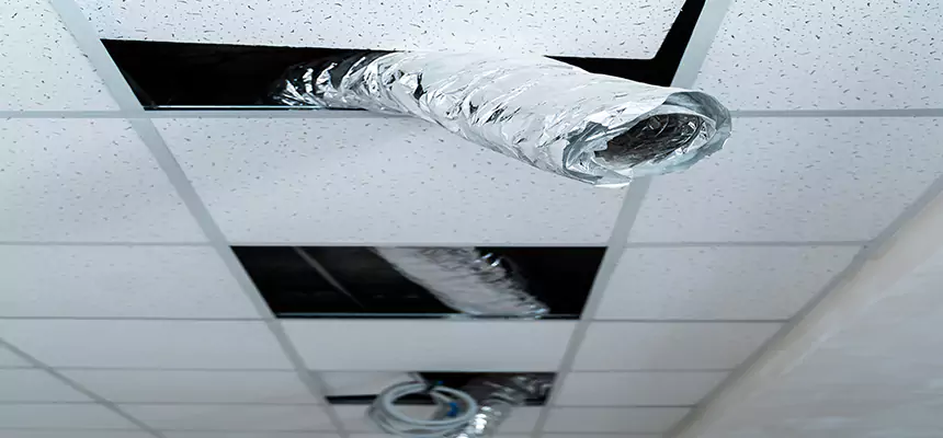 Affordable HVAC Sanitizing After Pest Removal in Northfield