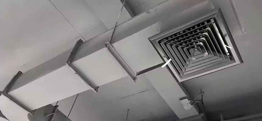 Restorative Allergy Relief Vent Cleaning – Coil, Blower & Housing Detail in Northfield