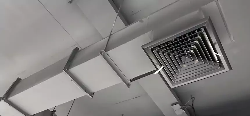 Our Rodent Droppings In Vents Services in Northfield, MN