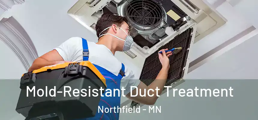  Mold-Resistant Duct Treatment Northfield - MN