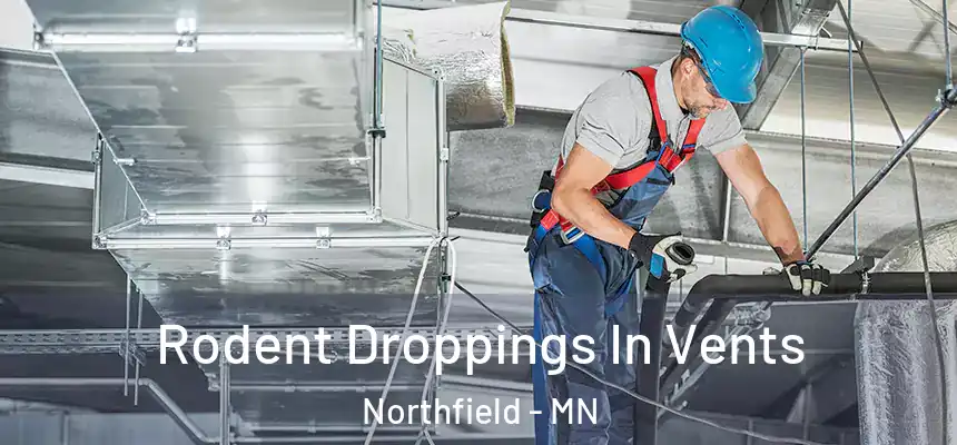  Rodent Droppings In Vents Northfield - MN