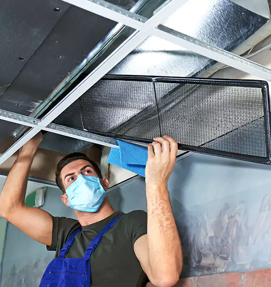 Professional Air Duct Pollen Cleaning in Northfield, MN