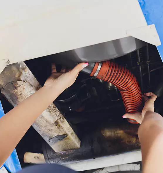 About Air Duct Virus Disinfection in Northfield, MN
