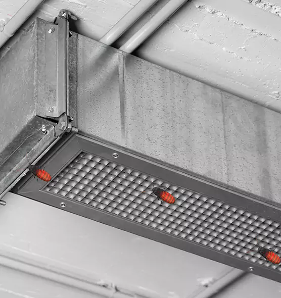 Affordable Insect Removal from Air Ducts in Northfield, MN