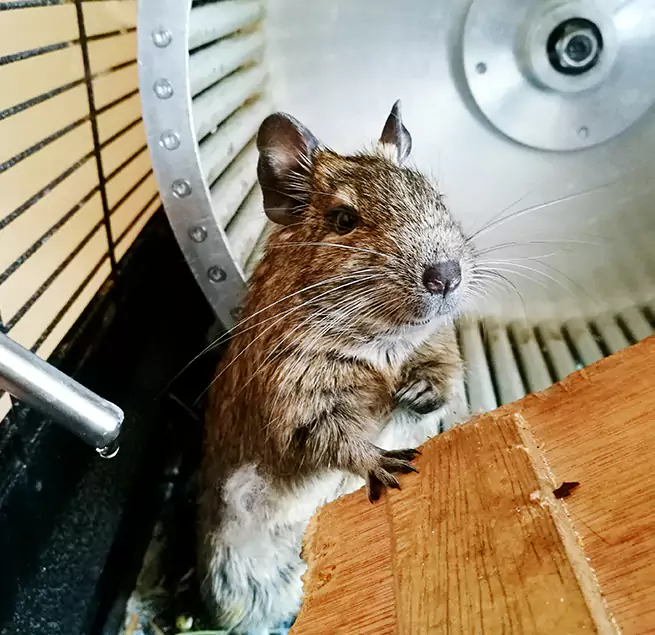 Why Homeowners & Businesses Trust Us Northfield, MN