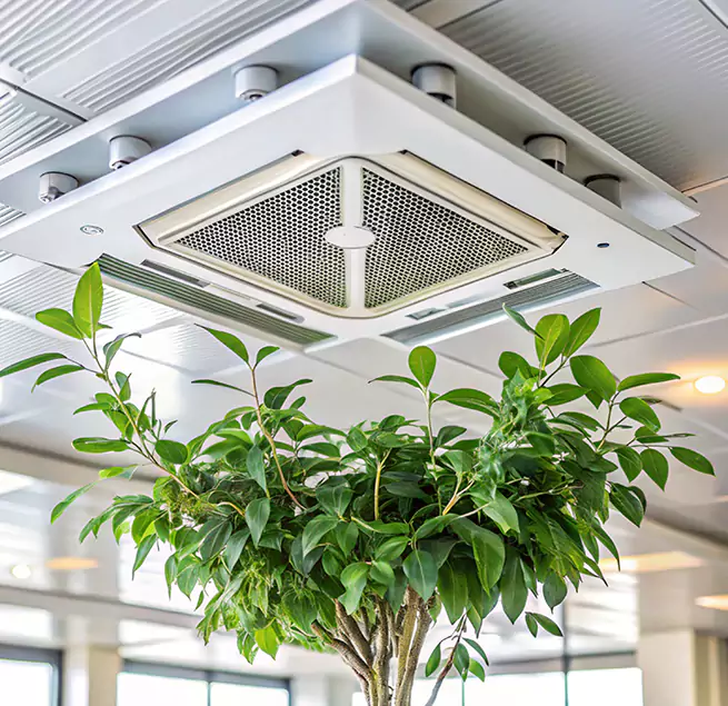 Why Homeowners & Businesses Trust Us in Northfield, MN