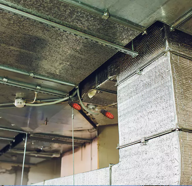 Why Homeowners & Businesses Trust Us Northfield, MN?